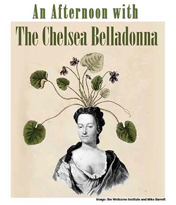 The Chelsea Belladonna