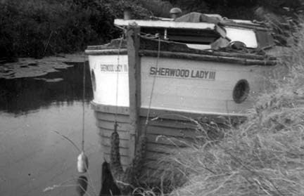 Sherwood Lady