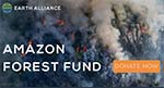 Amazon Forest Appeal
