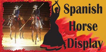 Spanish Horse display