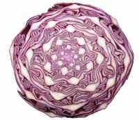 Red cabbage