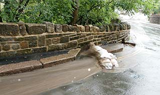 29 July floods