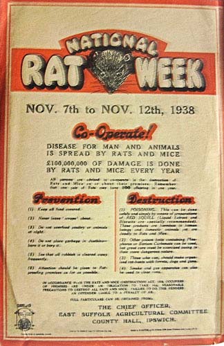 National Rat Week