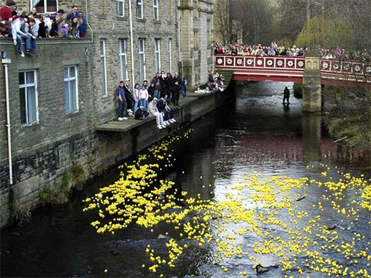 Duck Race