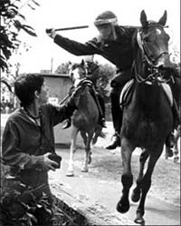 Orgreave