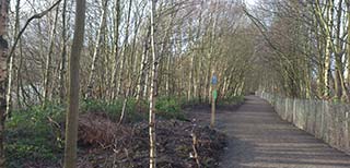 Cycle/Walking track between Mytholmroyd Station and Brierley