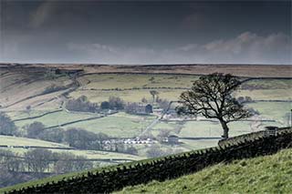 Early April, on the tops